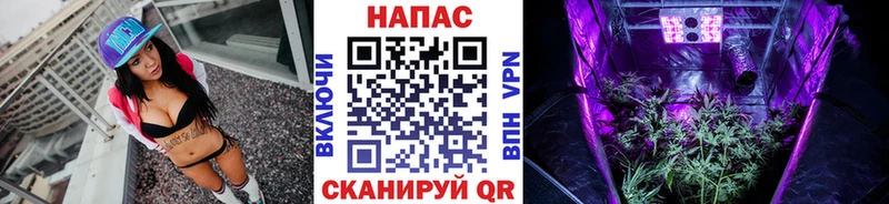 МАРИХУАНА семена  Волоколамск 